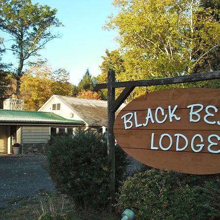 Black Bear Lodge Prattsville Eksteriør billede